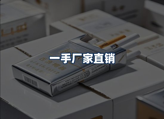 专业团队办公环境